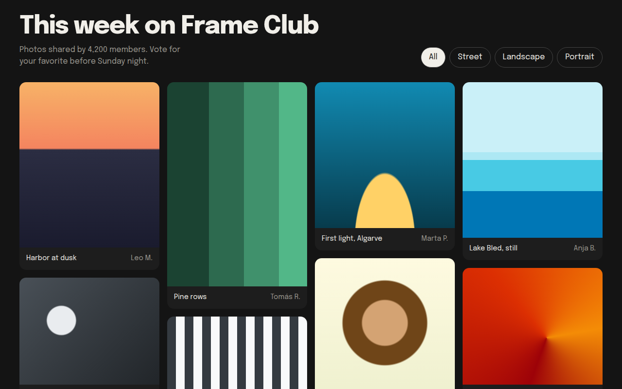 Masonry CSS template preview