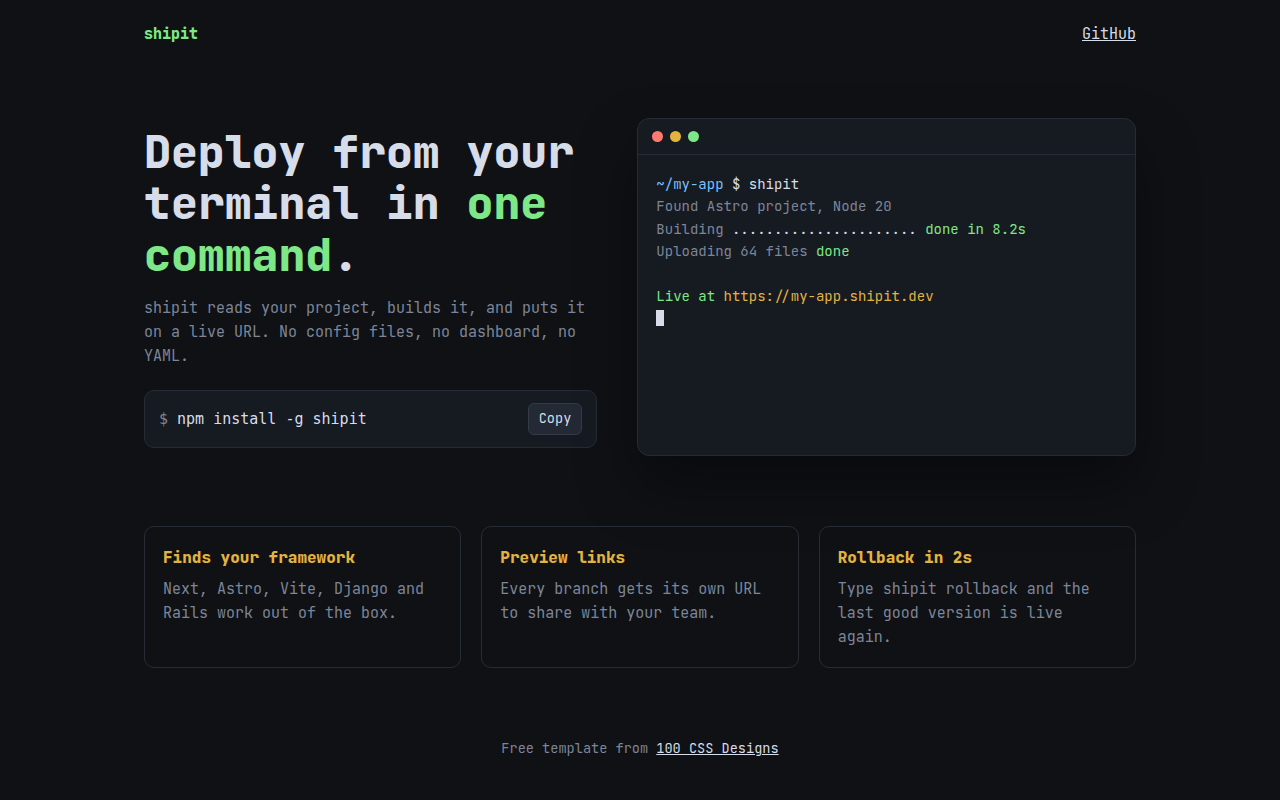 Terminal Developer CSS template preview