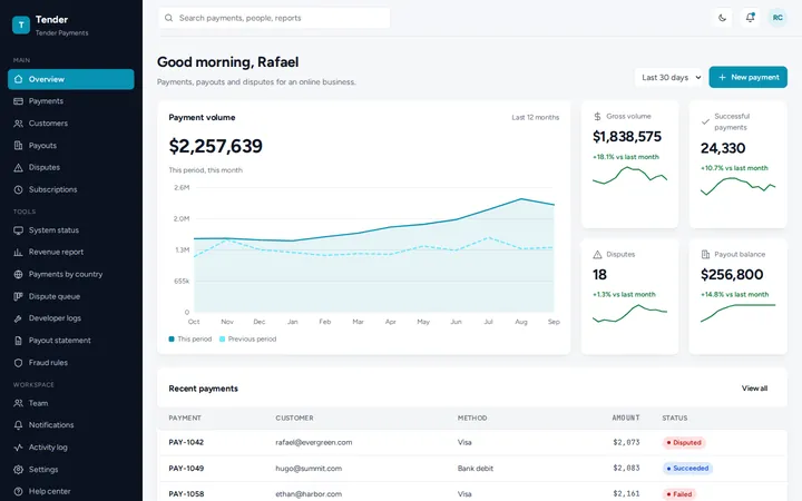 Tender payment gateway dashboard template preview