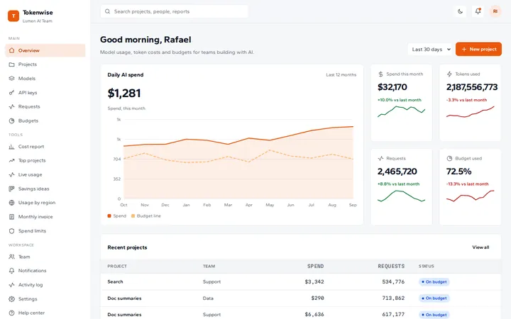 Tokenwise ai usage and cost dashboard template preview