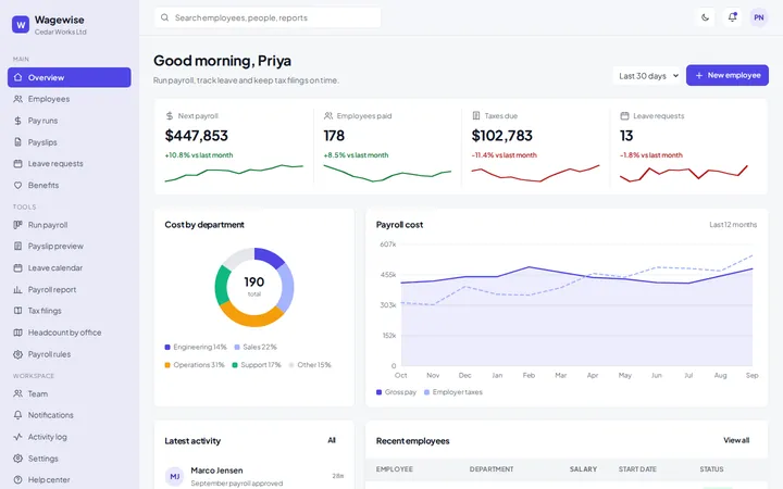 Wagewise payroll dashboard template preview