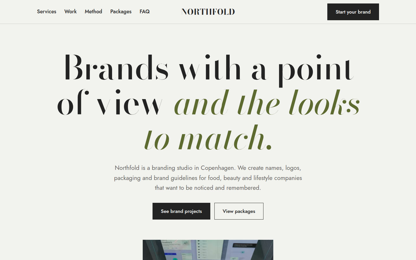 Northfold, free branding studio website template
