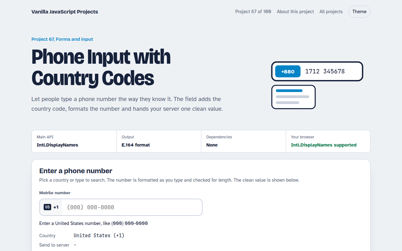 Phone Input with Country Codes JavaScript project preview